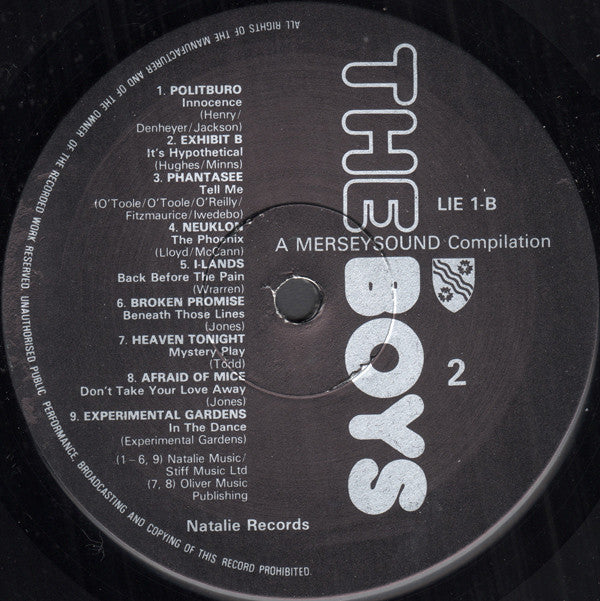 Various ~ Jobs For The Boys (Vinyl) - Djungel & Jazz