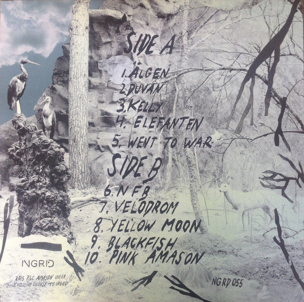 Amason ~ Sky City (Vinyl) - Djungel & Jazz