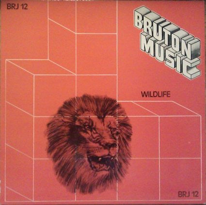 Basil Kirchin / Jack Nathan / Nigel Shipway ~ Wildlife (Vinyl) - Djungel & Jazz