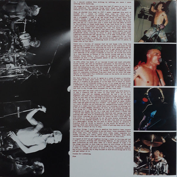 Red Hot Chili Peppers ~ Greatest Hits (Vinyl) - Djungel & Jazz