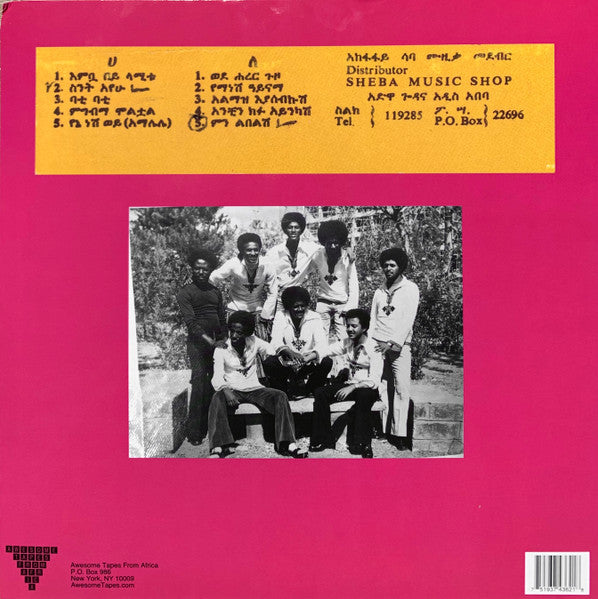 Hailu Mergia & Dahlak Band ~ Wede Harer Guzo (Vinyl) - Djungel & Jazz