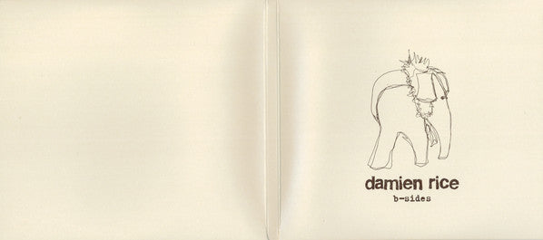 Damien Rice ~ O / B-Sides (Vinyl) - Djungel & Jazz