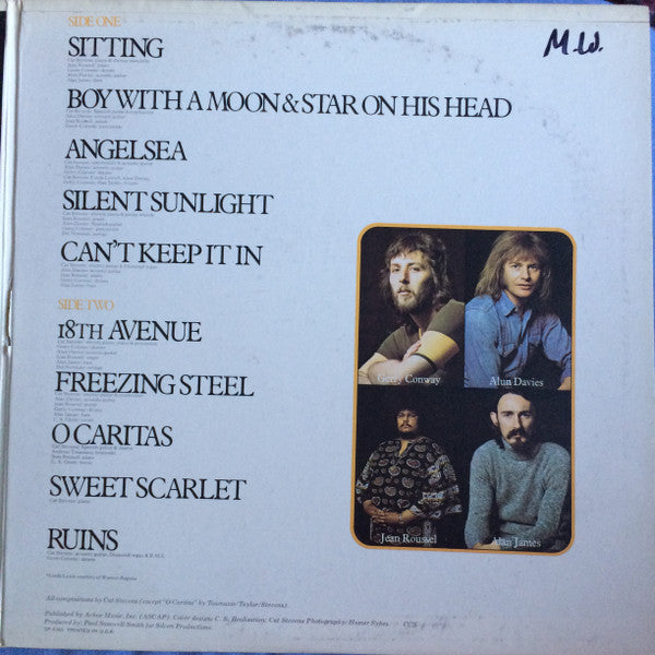Cat Stevens ~ Catch Bull At Four (Vinyl) - Djungel & Jazz
