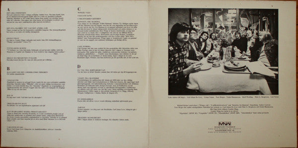 Blå Tåget ~ Brustna Hjärtans Hotell (Vinyl) - Djungel & Jazz