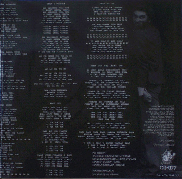 Po Prostu ~ Poczet Alimenciarzy (Vinyl) - Djungel & Jazz
