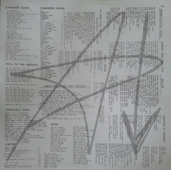 Sonic Youth ~ Experimental Jet Set, Trash And No Star (Vinyl) - Djungel & Jazz