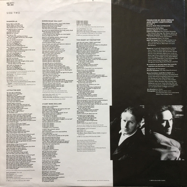 Don Henley ~ The End Of The Innocence (Vinyl) - Djungel & Jazz