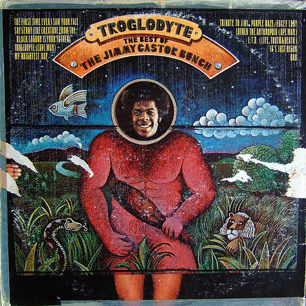 The Jimmy Castor Bunch ~ Troglodyte: The Best Of The Jimmy Castor Bunch (Vinyl) - Djungel & Jazz