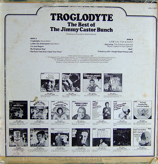 The Jimmy Castor Bunch ~ Troglodyte: The Best Of The Jimmy Castor Bunch (Vinyl) - Djungel & Jazz