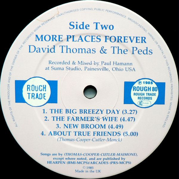 David Thomas & The Peds ~ More Places Forever (Vinyl) - Djungel & Jazz