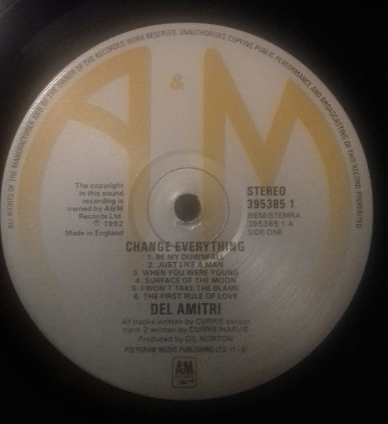 Del Amitri ~ Change Everything (Vinyl) - Djungel & Jazz