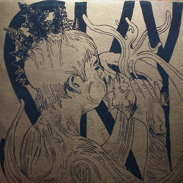 Bird By Snow ~ Sky (Vinyl) - Djungel & Jazz