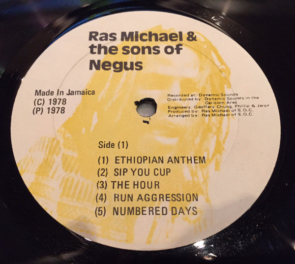 Ras Michael & The Sons Of Negus : Movements (LP, Album)