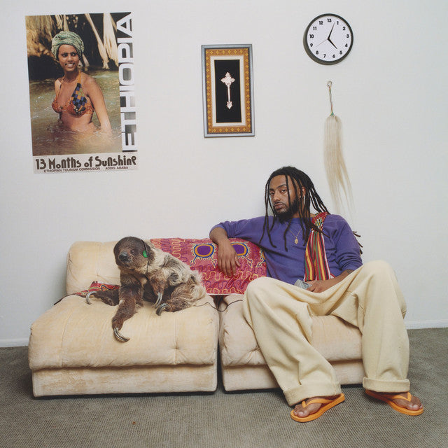 Aminé ~ 13 Months Of Sunshine (Vinyl) - Djungel & Jazz
