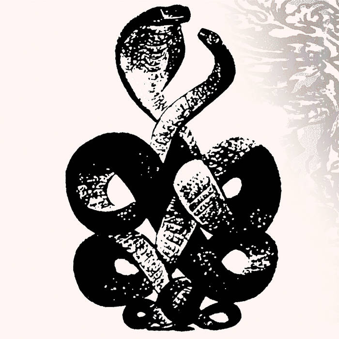 Bardo Pond ~ Volume 4 & 5 (Vinyl) - Djungel & Jazz
