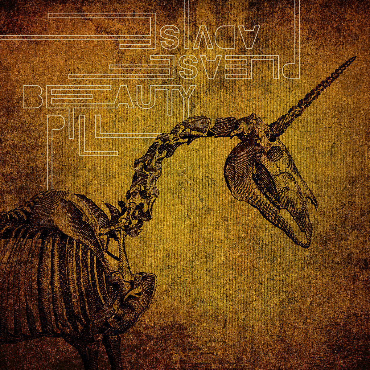 Beauty Pill ~ Please Advise (Vinyl) - Djungel & Jazz