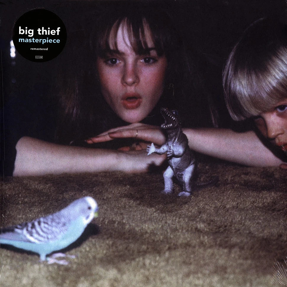 Big Thief ~ Masterpiece (Vinyl) - Djungel & Jazz