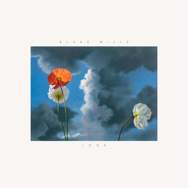 Blake Mills ~ Look (Vinyl) - Djungel & Jazz