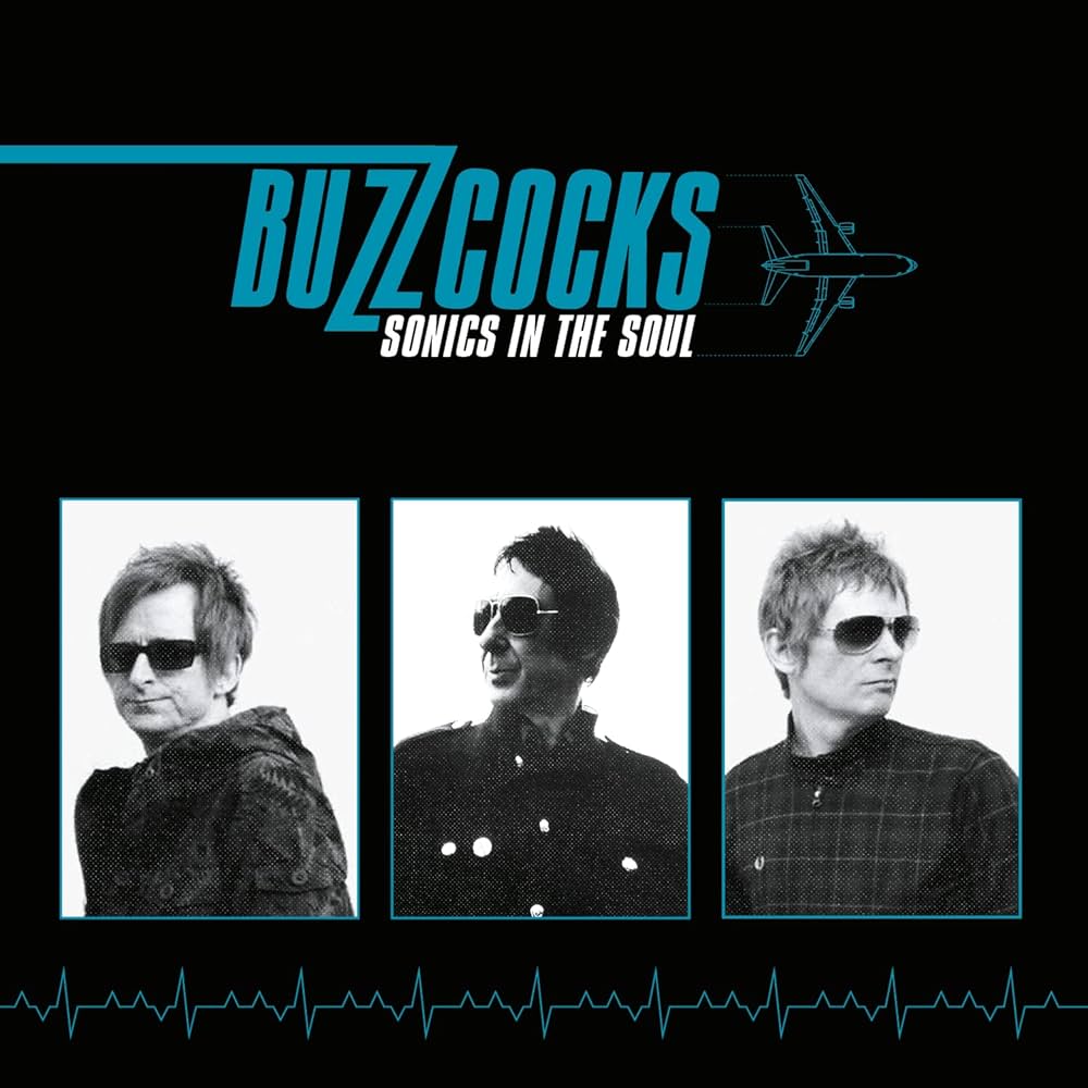 Buzzcocks ~ Sonics In The Soul (Vinyl) - Djungel & Jazz