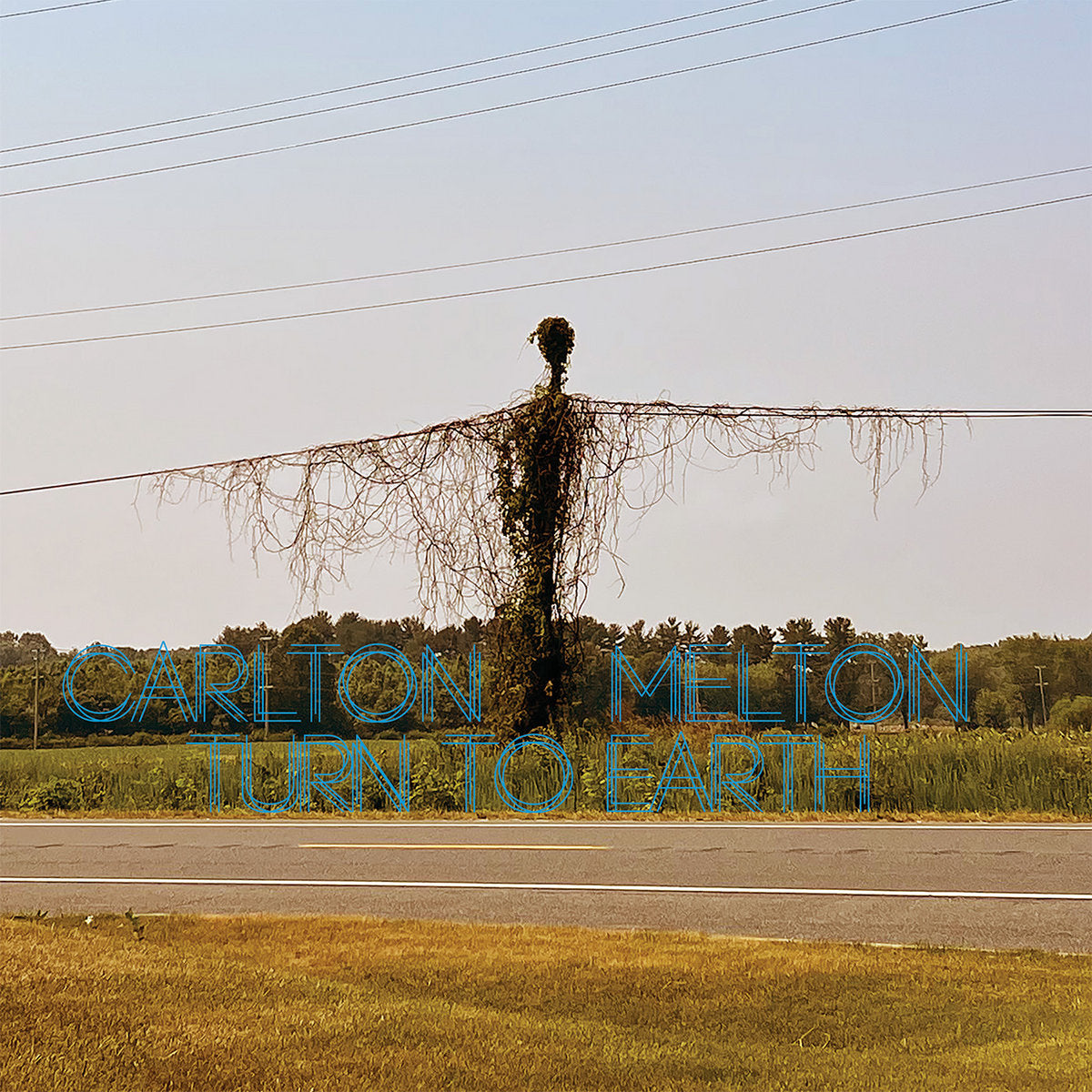 Carlton Melton ~ Turn To Earth (Vinyl) - Djungel & Jazz