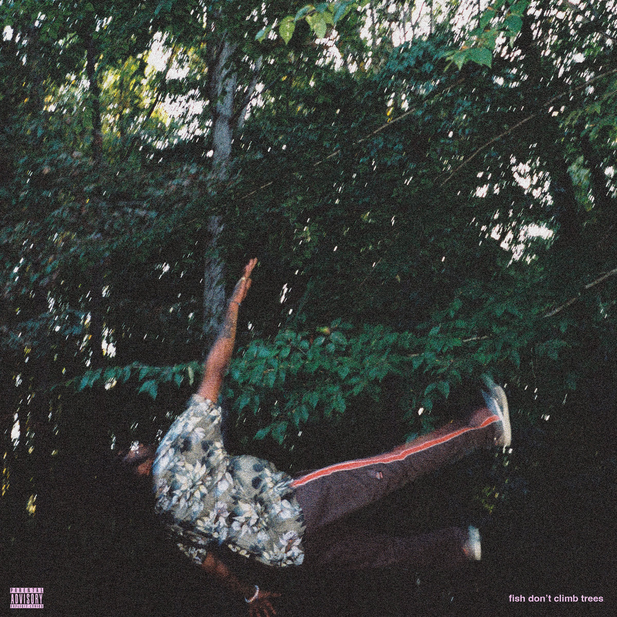 Chester Watson ~ Fish Don't Climb Trees (Vinyl) - Djungel & Jazz