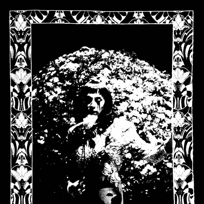 Cindy Lee ~ Model Express