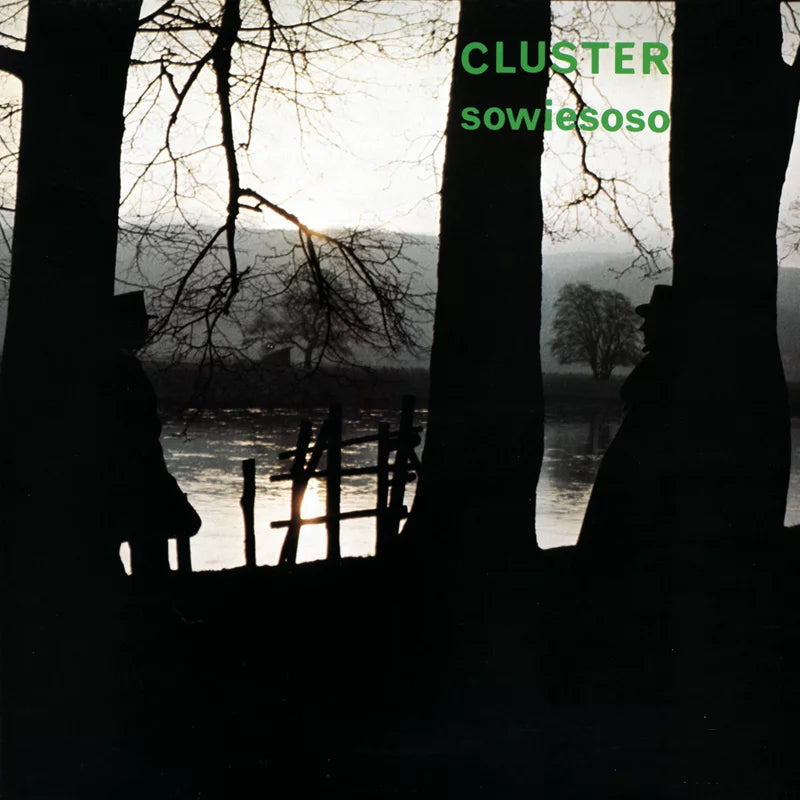 Cluster ~ Sowiesoso (Vinyl) - Djungel & Jazz