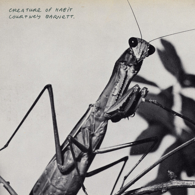 Courtney Barnett ~ Creature Of Habit (Vinyl) - Djungel & Jazz