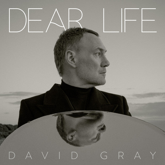 David Gray ~ Dear Life (Vinyl) - Djungel & Jazz
