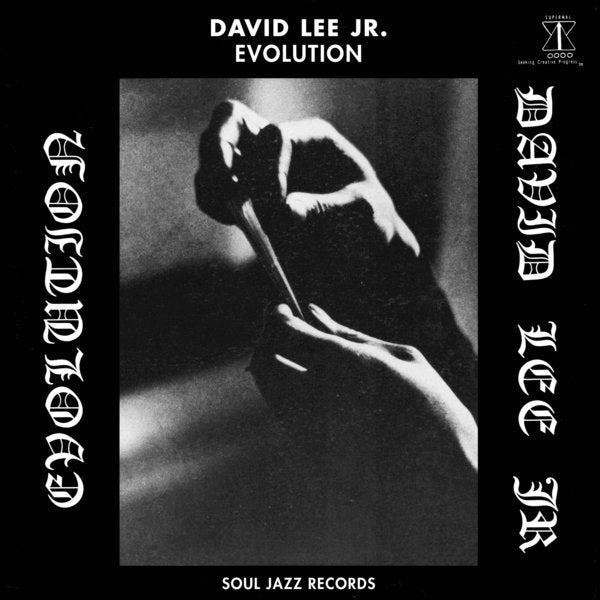 David Lee Jr. ~ Evolution (Vinyl) - Djungel & Jazz