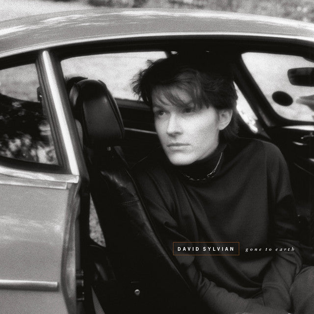 David Sylvian ~ Gone To Earth (Vinyl) - Djungel & Jazz