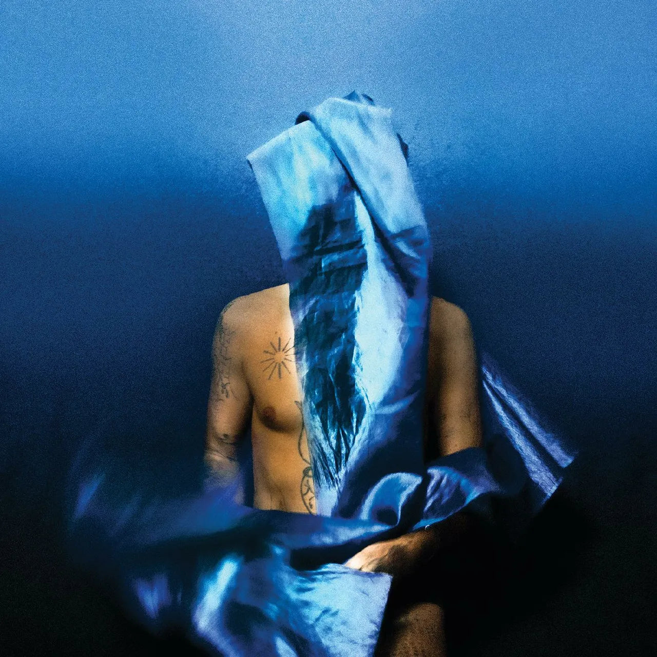 Devendra Banhart ~ Flying Wig (Vinyl) - Djungel & Jazz