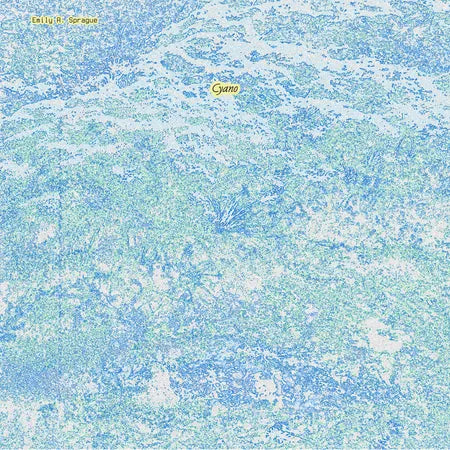 Emily A. Sprague ~ Cyano (Vinyl) - Djungel & Jazz