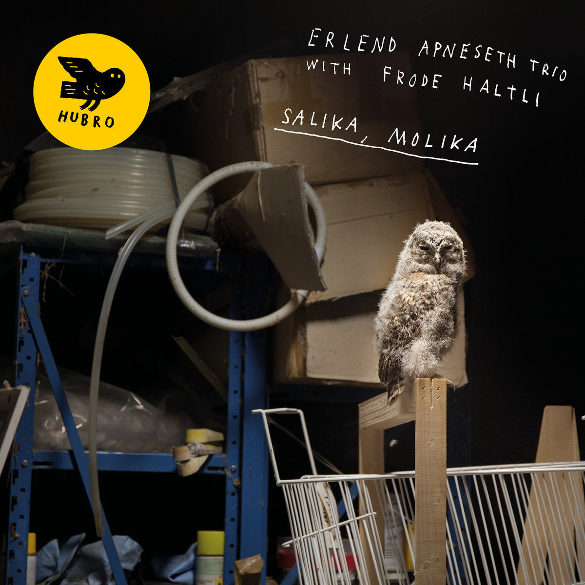 Erlend Apneseth Trio With Frode Haltli ~ Salika, Molika (Vinyl) - Djungel & Jazz