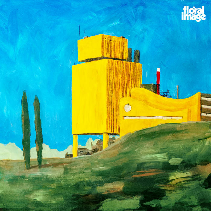 Floral Image ~ Gone Down Meadowland (Vinyl) - Djungel & Jazz