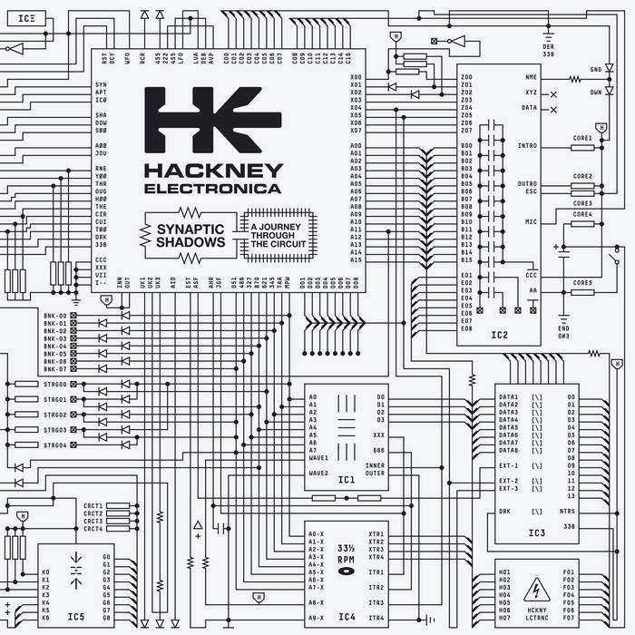 Hackney Electronica ~ Synaptic Shadows: A Journey Through The Circuit (Vinyl) - Djungel & Jazz