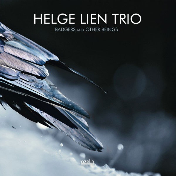 Helge Lien Trio ~ Badgers And Other Beings (Vinyl) - Djungel & Jazz