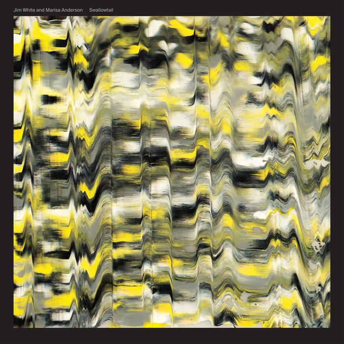 Jim White And Marisa Anderson ~ Swallowtail (Vinyl) - Djungel & Jazz