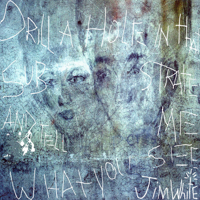 Jim White ~ Drill A Hole In That Substrate And Tell Me What You See (Vinyl) - Djungel & Jazz