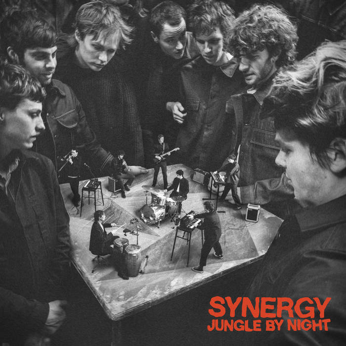 Jungle By Night ~ Synergy (Vinyl) - Djungel & Jazz
