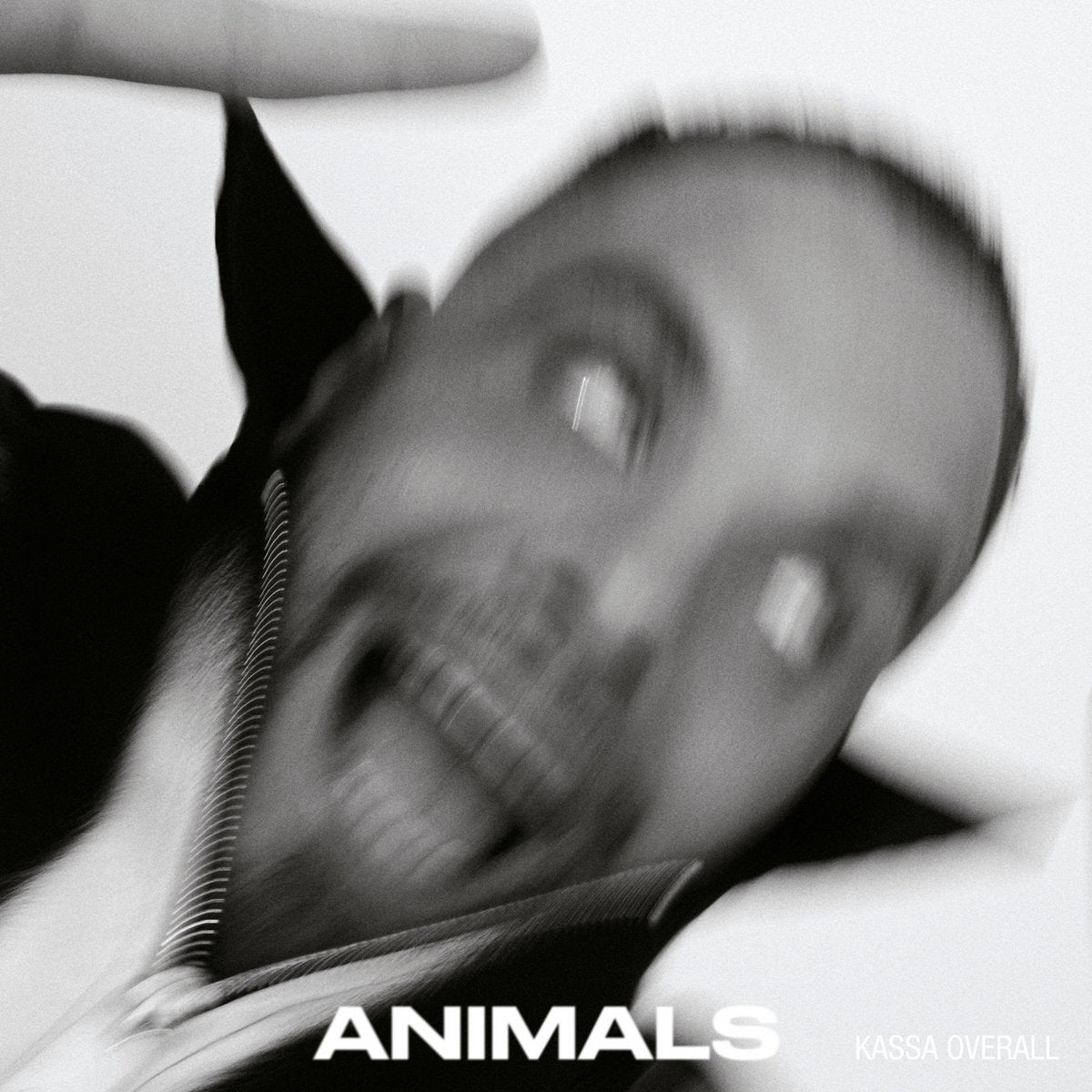 Kassa Overall ~ Animals (Vinyl) - Djungel & Jazz