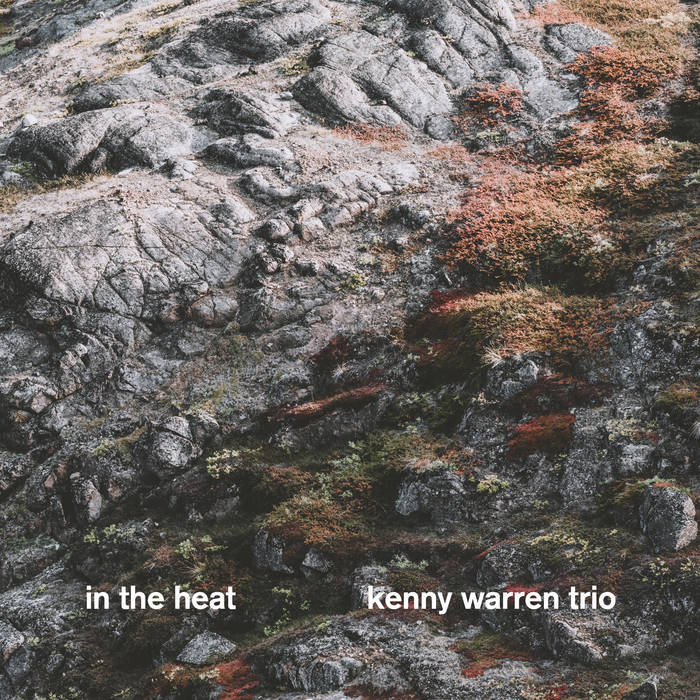 Kenny Warren Trio ~ In The Heat (Vinyl) - Djungel & Jazz