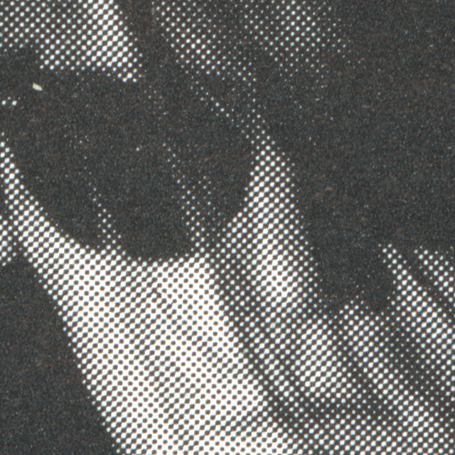 LCD Soundsystem ~ X-Ray Eyes (Vinyl) - Djungel & Jazz