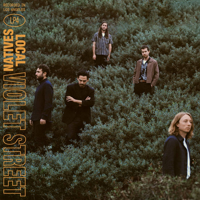 Local Natives ~ Violet Street (Vinyl) - Djungel & Jazz