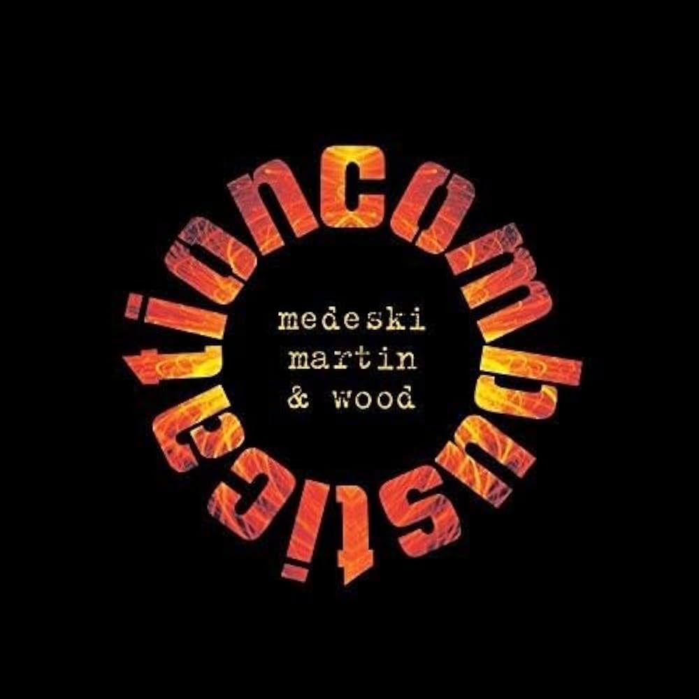 Medeski Martin & Wood ~ Combustication (Vinyl) - Djungel & Jazz