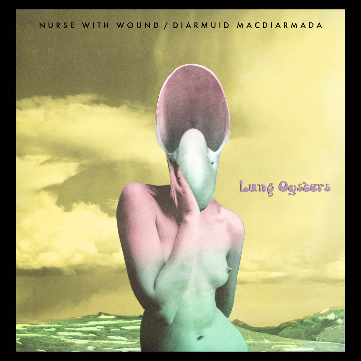Nurse With Wound / Diarmuid MacDiarmada ~ Lung Oysters (Vinyl) - Djungel & Jazz