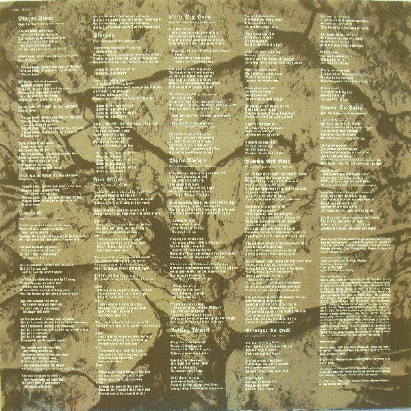 Running Wild ~ Blazon Stone (Vinyl) - Djungel & Jazz