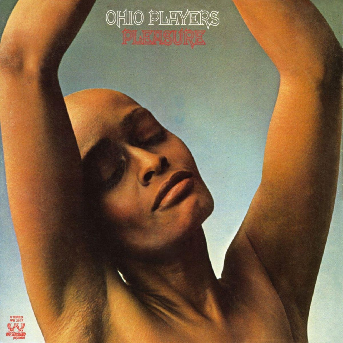 Ohio Players ~ Pleasure (Vinyl) - Djungel & Jazz