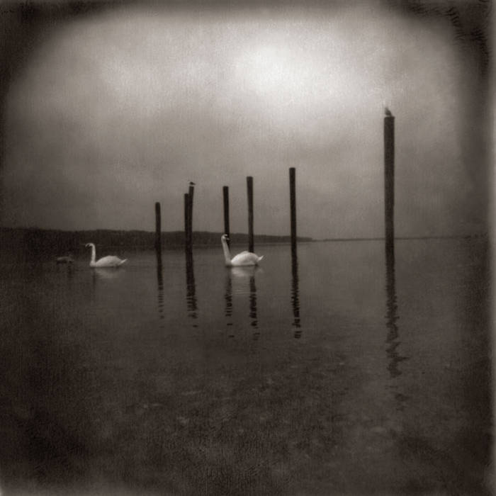 Om ~ Conference of the Birds (Vinyl) - Djungel & Jazz