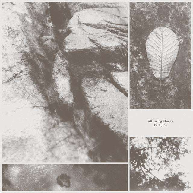 Park Jiha ~ All Living Things (Vinyl) - Djungel & Jazz